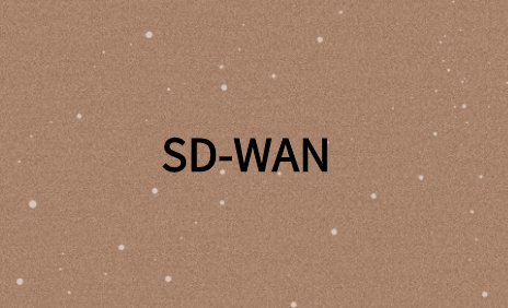 SD-WAN如何進行故障排除?