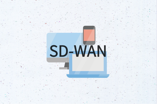 華為SD-WAN