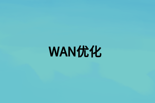 WAN優化：這是什么，好處是什么?