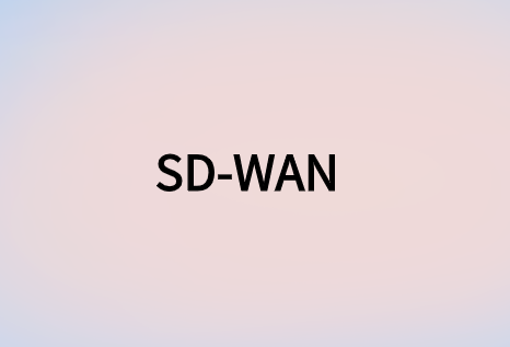 SD-WAN技術(shù)不止于此