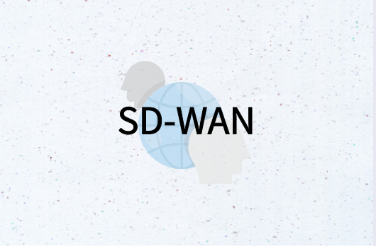 SD-WAN主流