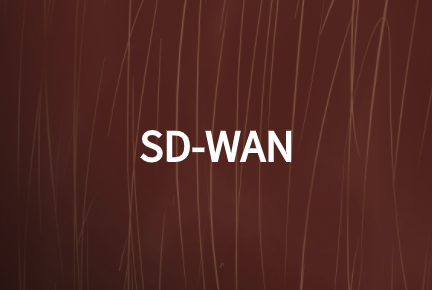 SD-WAN網(wǎng)絡(luò)技術(shù)如何加強(qiáng)現(xiàn)有WAN網(wǎng)絡(luò)性能?