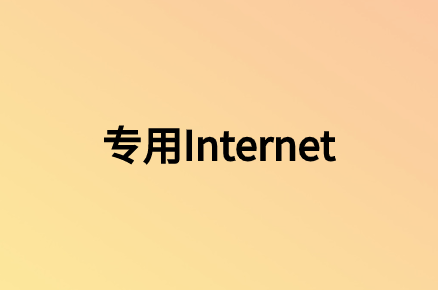 使用專用Internet訪問有哪些優勢?